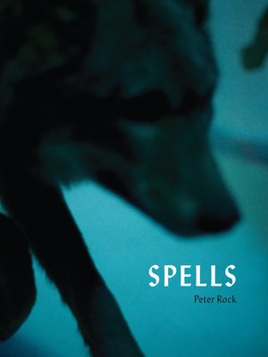 cover image of Spells